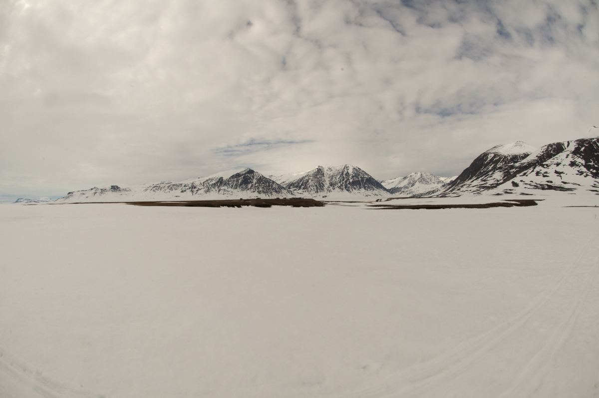 De met sneeuw bedekte toendra in Zackenberg, noordoost Groenland (25 juni 2018). Dieren konden hun voedsel niet bereiken en planten waren nog bedekt onder de sneeuw. Fotograaf: Jeroen ReneerkensPhotographer: Jeroen Reneerkens