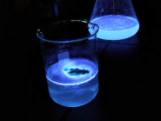 When luminol decomposes it releases energy in the form of light.