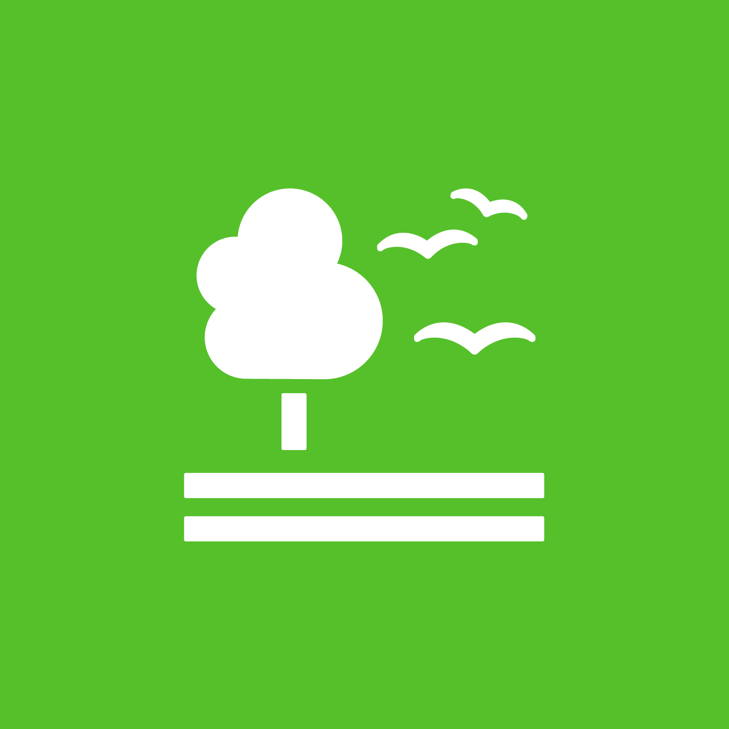 SDG 15 – Leven op het land SDG 15 – Leven op het land