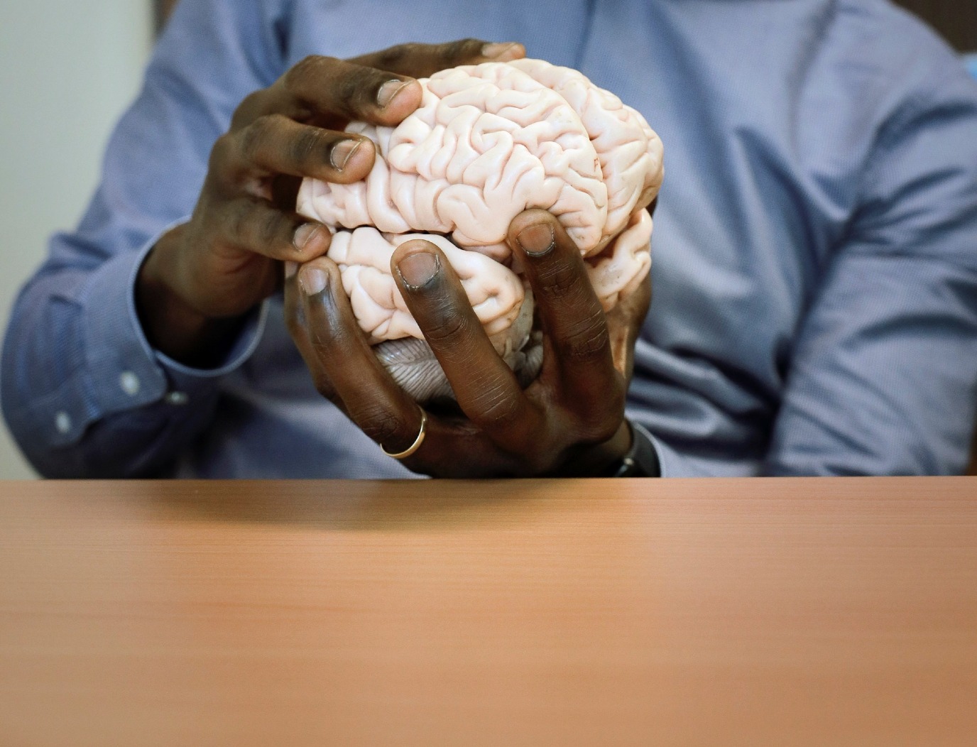 Model van de hersenen