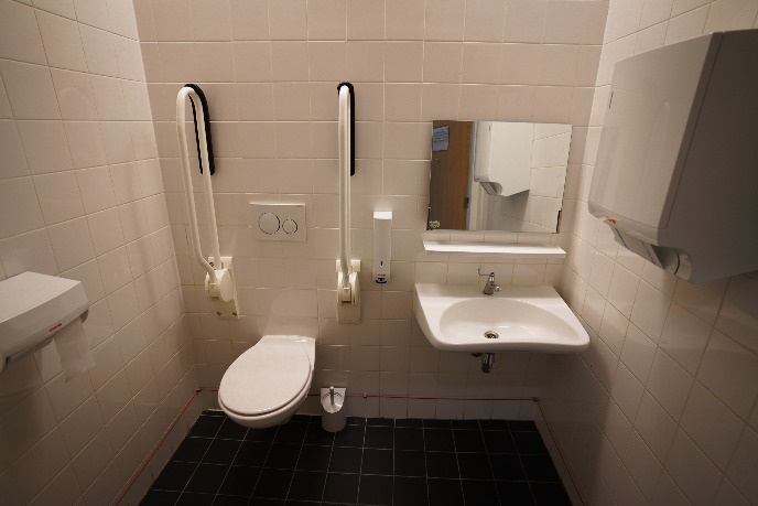 Wheelchair-friendly toilet on site
