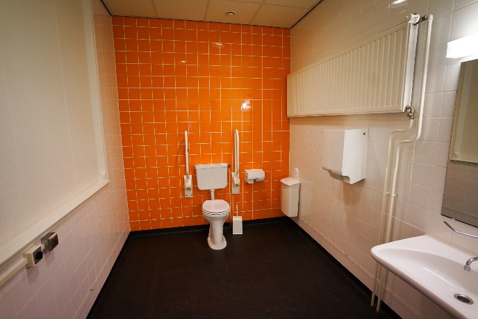 Wheelchair-friendly toilet on site
