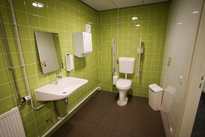 Wheelchair-friendly toilet on site