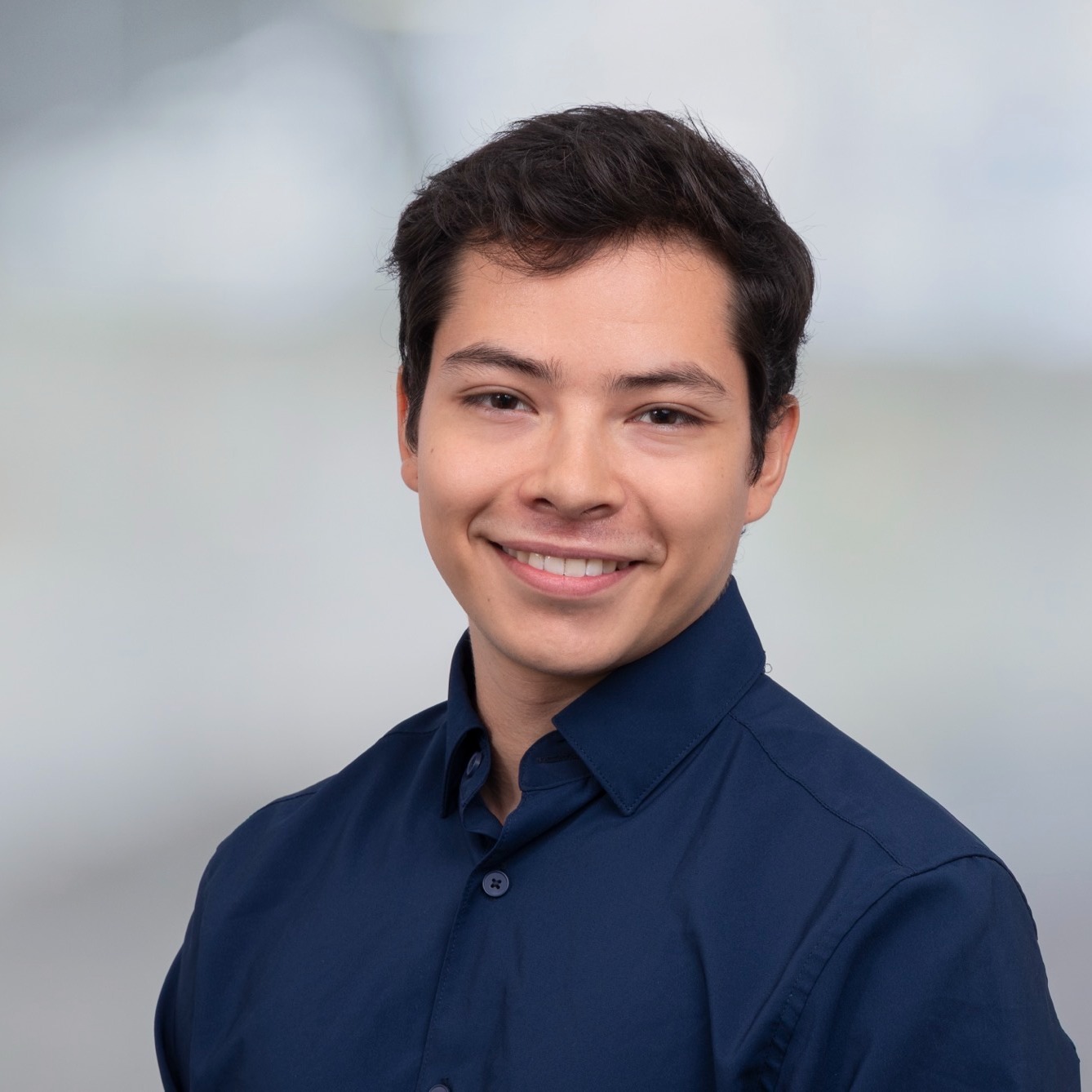 decoratieve afbeelding