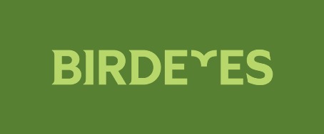 Logo BirdEyes