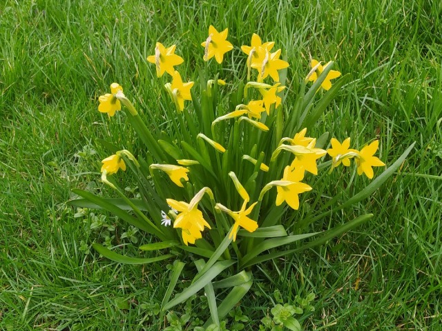 Spring is in the air! Time for some spring cleaning.