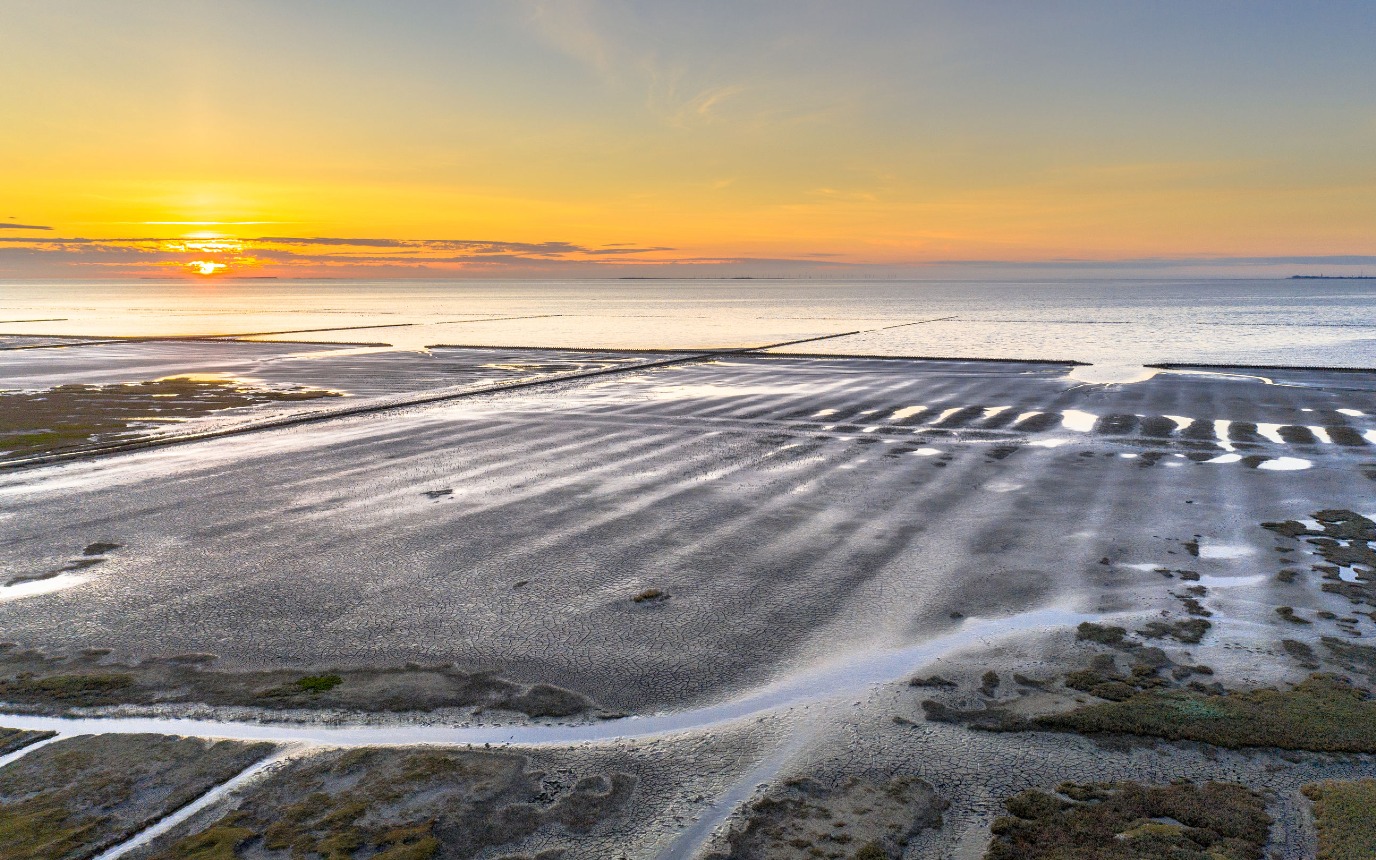 Wadden salt marsh near Uithuizen (photo: Rudmer Zwerver)