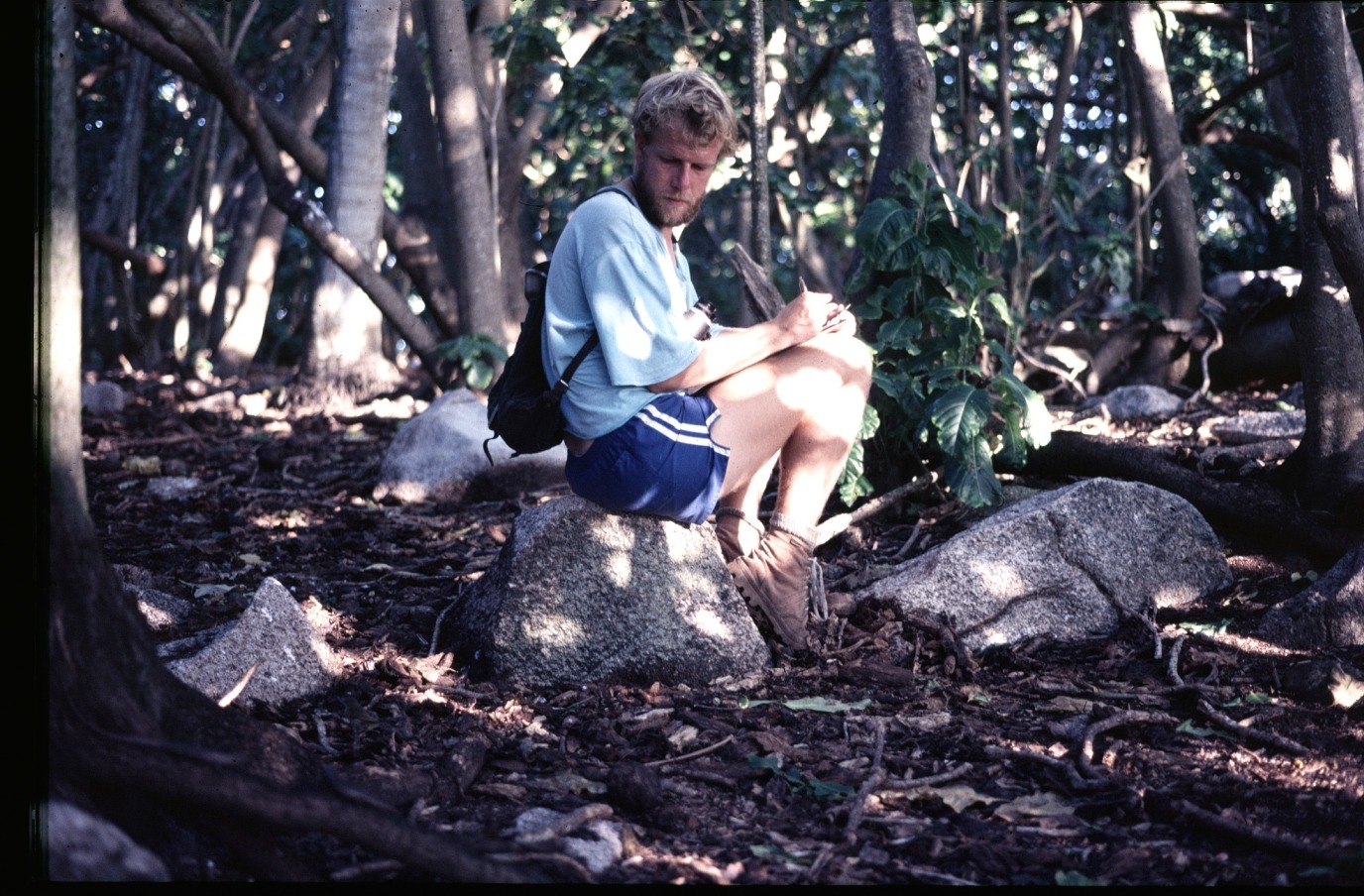 decoratieve afbeelding