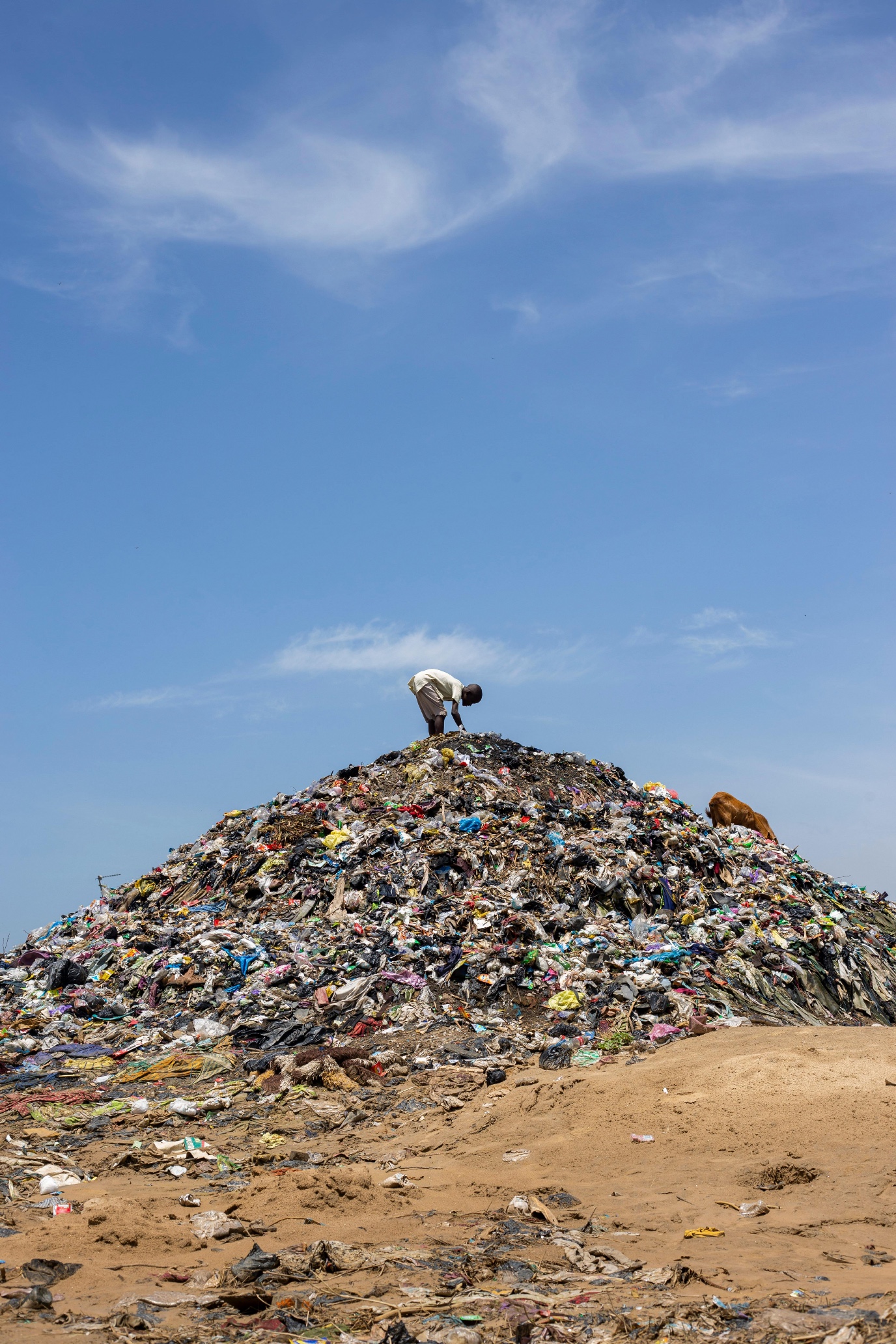 ‘The pharmaceutical industry creates on average 100 kilograms of waste for one kilogram of product.' Photo Achor Uteno/Pixabay