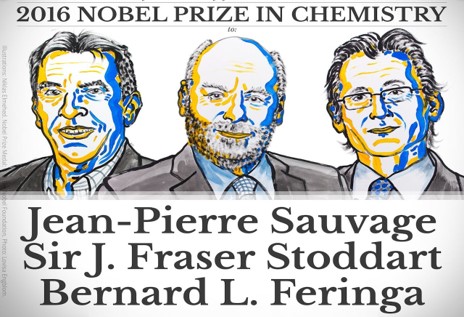 Official 'group portrait' of the 2016 Nobel Prize in Chemistry 