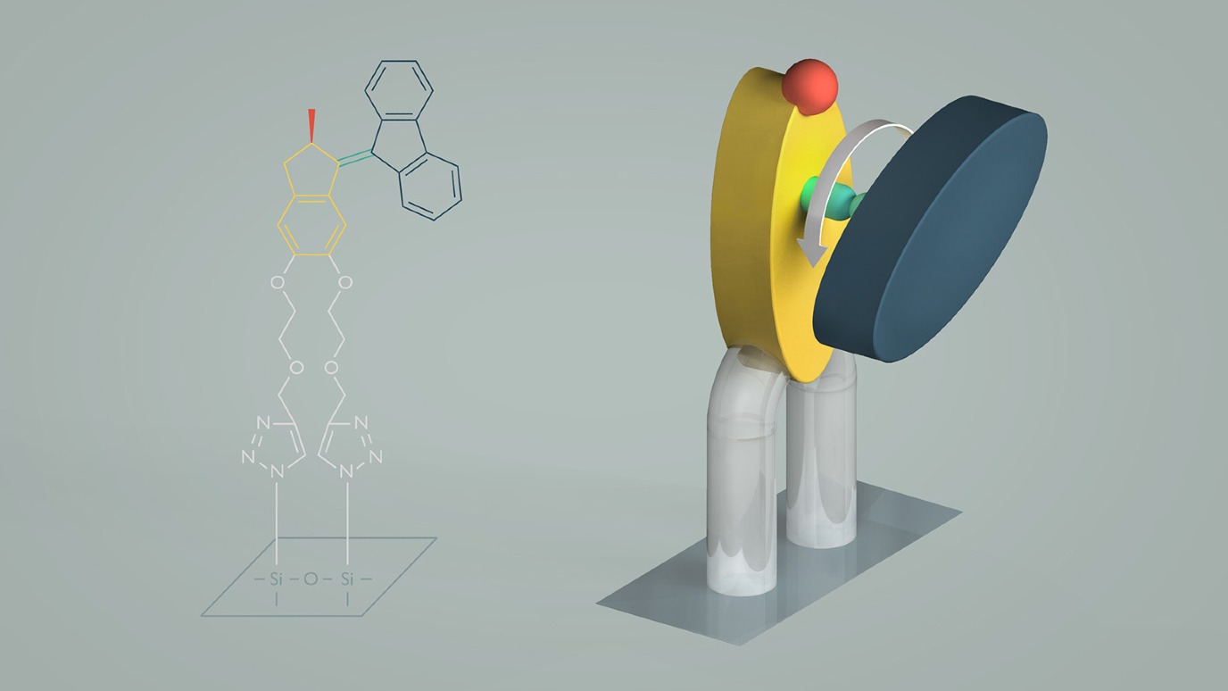 motor molecule