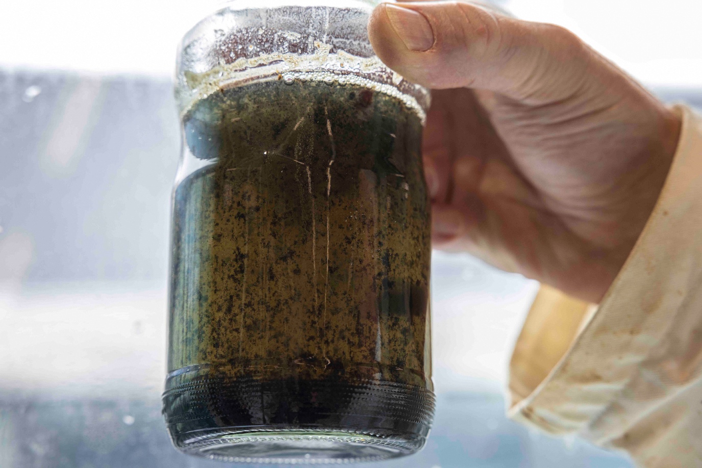 na een tijdje doen de bacterien hun werk, gescheiden  afvalstoffen, zakken naar de grond, waardoor schoner water terug blijft 