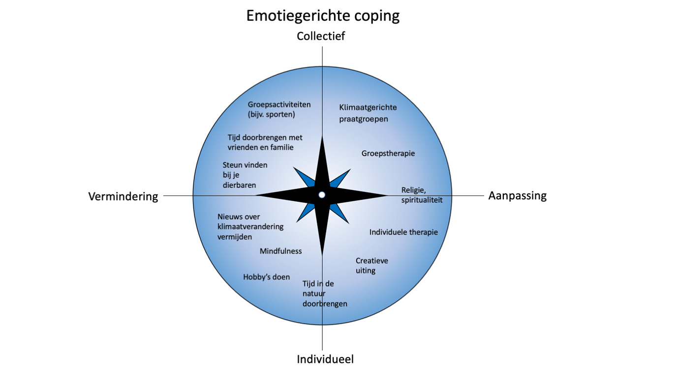 emotiegericht coping