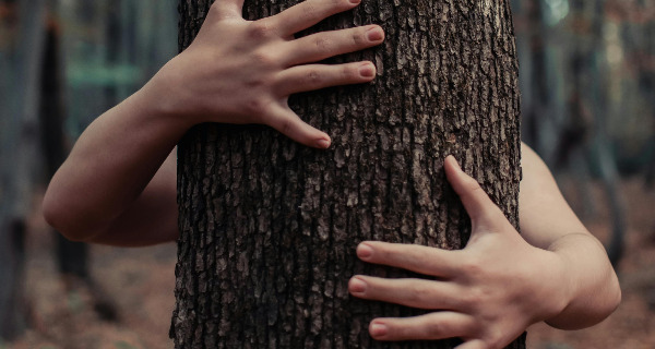 More exposure to nature makes us care more about stopping climate change