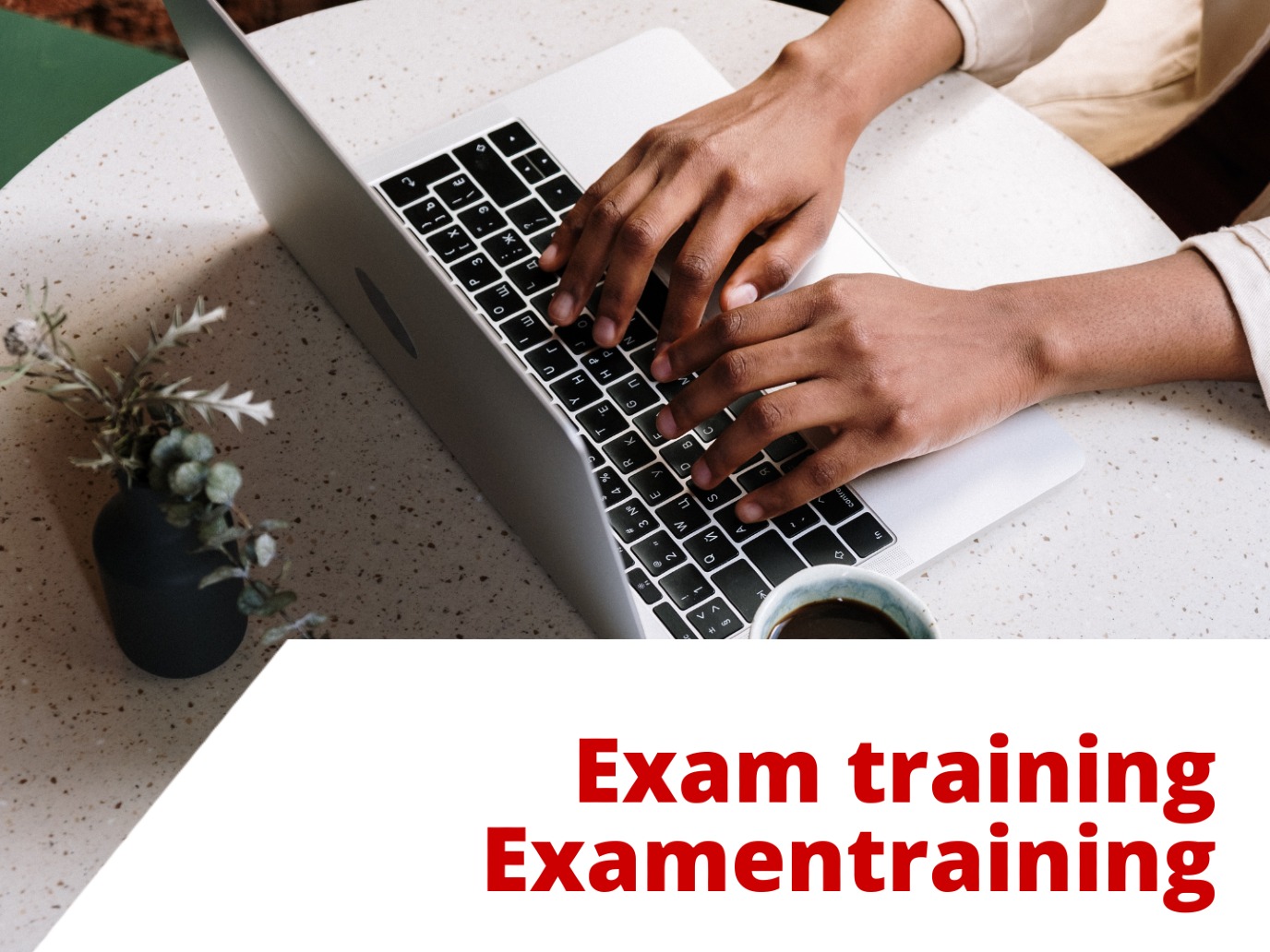 Online Exam Training: State Exam NT2-II