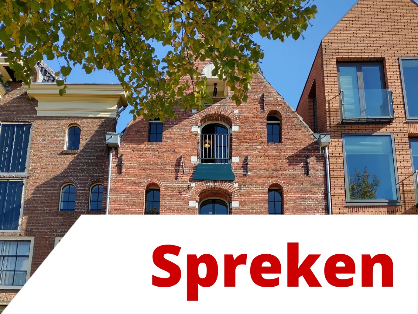 Speaking Dutch in practice