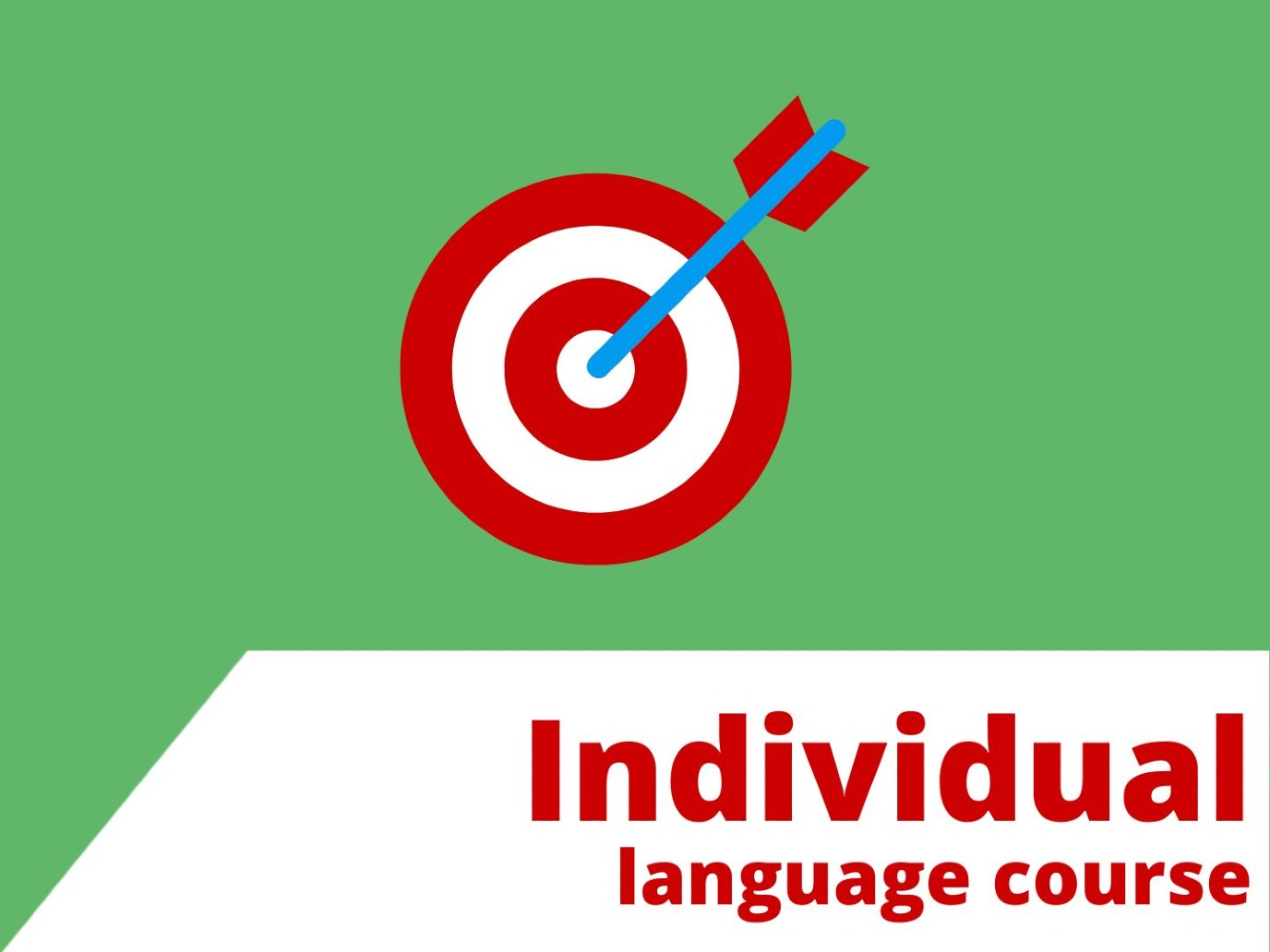 Individual language course