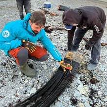 Traditionele kennis en westerse wetenschap vinden elkaar op de Noordpool