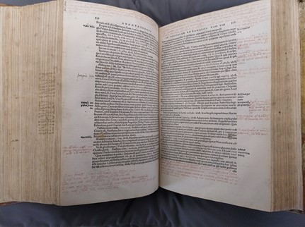 Luther and Praedinius wrote annotations in a different style