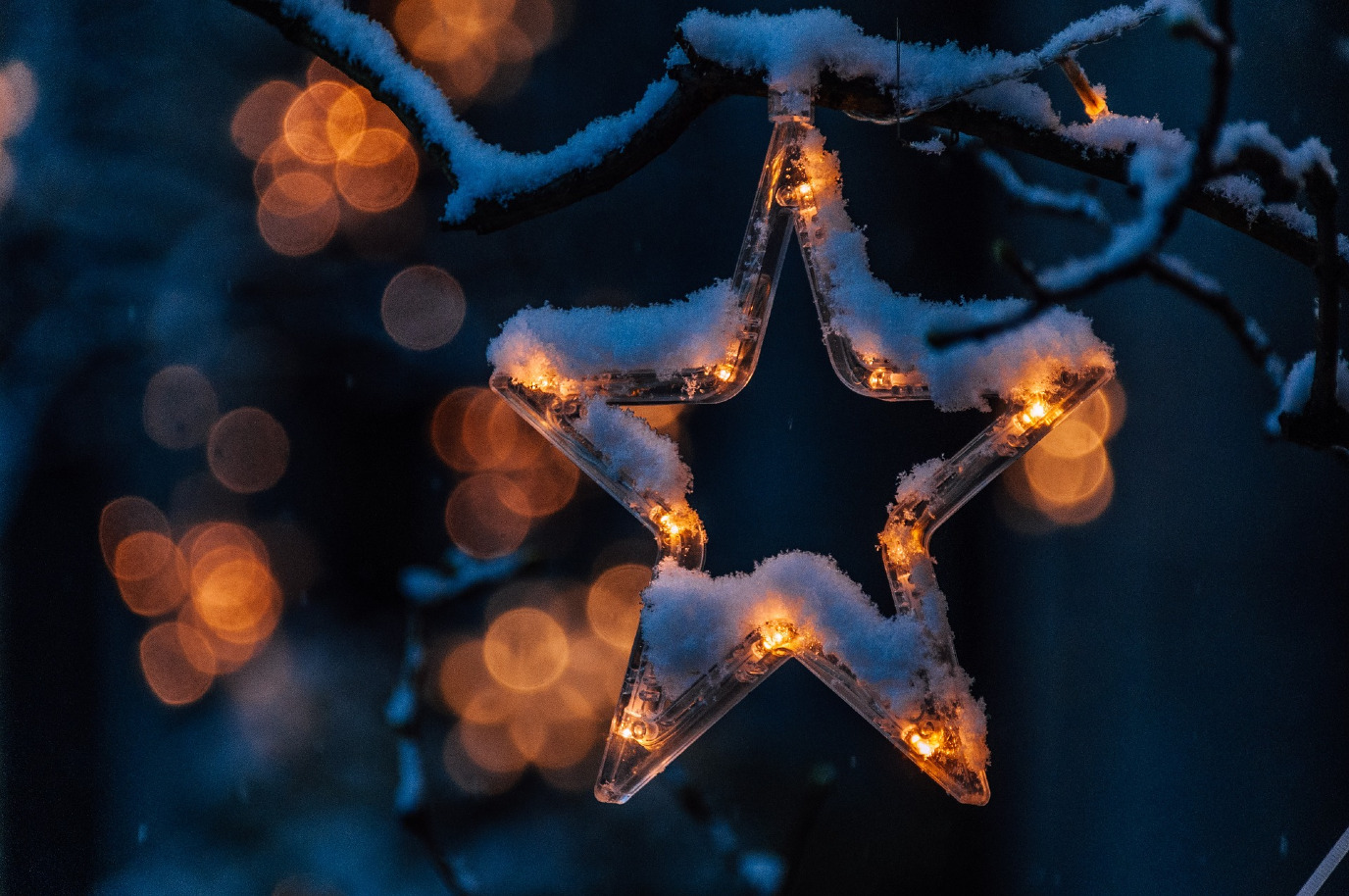 Kerstvakantie bij het Universiteitsmuseum