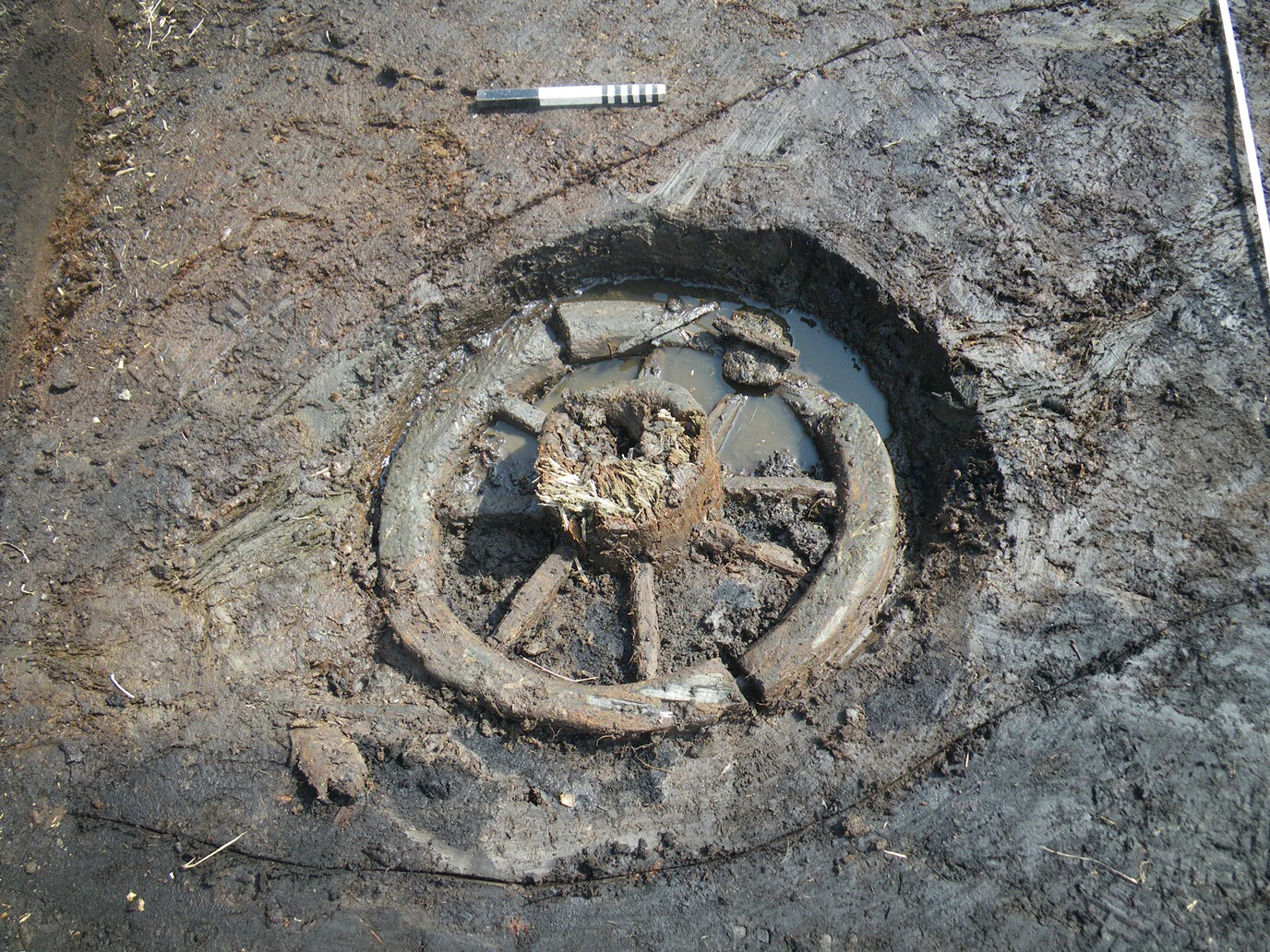 Een bijzondere archeologische vondst uit De Onlanden: een compleet wagenwiel, te dateren in de 13e eeuw (© Groninger Instituut voor Archeologie, Rijksuniversiteit Groningen).