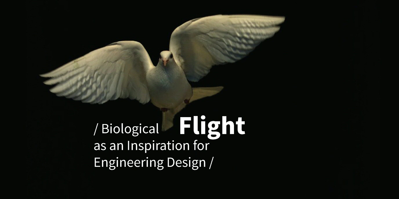 Biological flight as an inspiration for Engineering Design