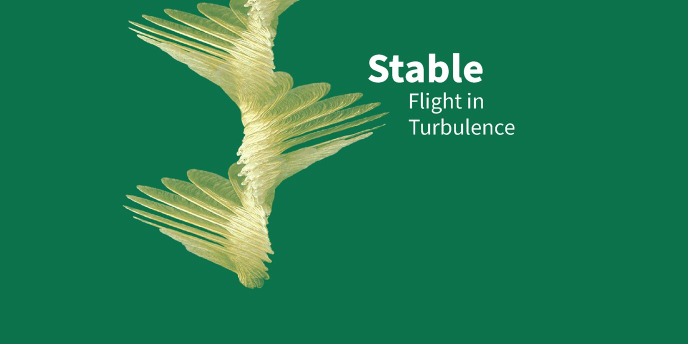 Stable flight in turbulence