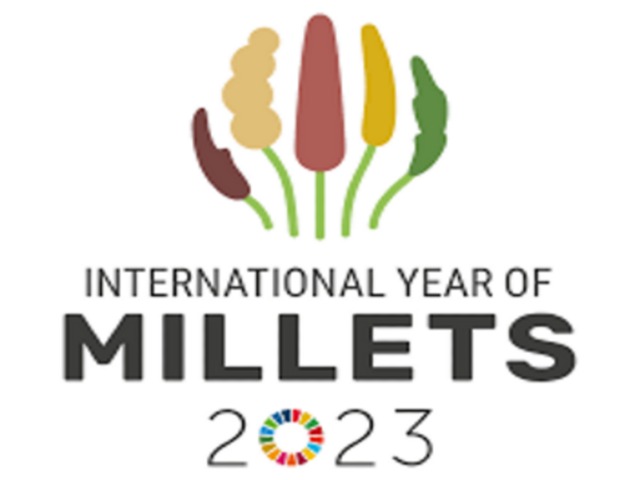 The emblem of the IYOM 2023 combines iconic references to different kinds of millets that together form the most promoted millet variety, finger millet, and to the UN Sustainable Development Goals (the “zero” of 2023).