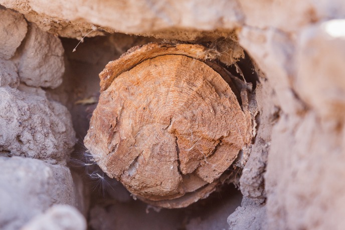 A typical example of the adequate state of preservation of a wooden beam from the site