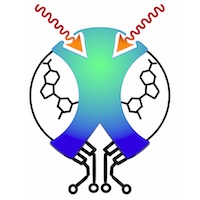 decorative image
