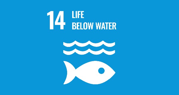 SDG 14: Life below water