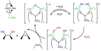 Research | Molecular Inorganic Chemistry - Browne group | University of ...