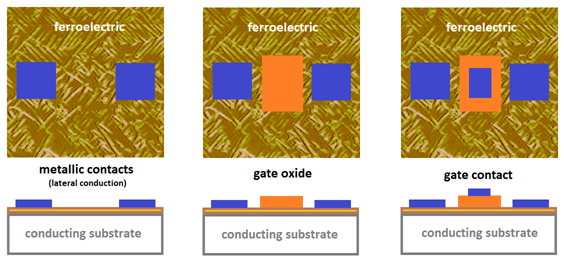 Ferroelectrics as constituents materials for neuromorphic devices