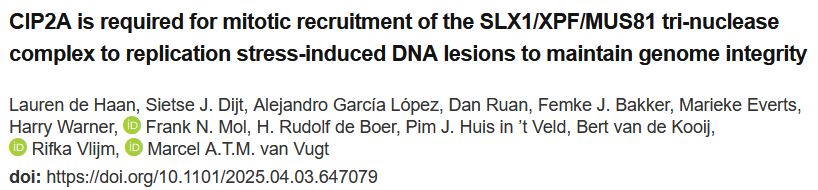 CIP2A-TOPBP1 complex