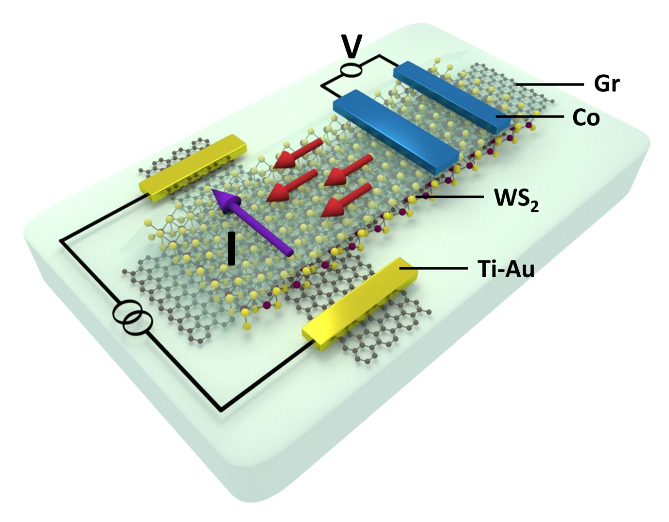 Schematics of the geometry of a nanodevice, used for observation of charge-to-spin conversion in a van der Waals heterostructure of graphene and WS2. The purple and red arrows show charge current and the generated spin accumulation, respectively.