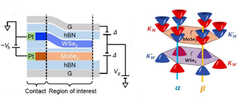 Figure 1: Heterostructure of WSe2 and MoSe2 encapsulated with two hBN flakes and gated at the top and bottom with the graphene Brillouin zone of the TMD hetero-bilayer.