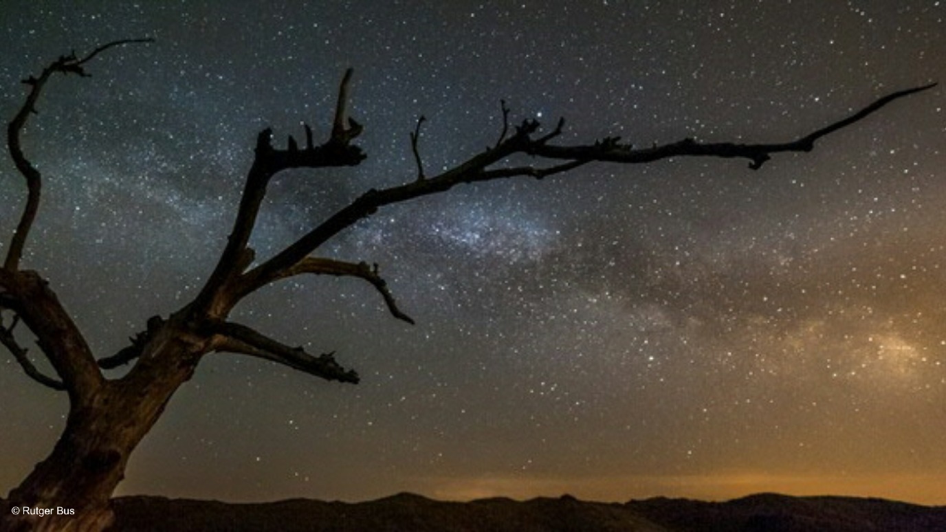 decoratieve afbeelding