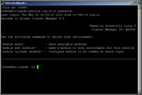 Figure 3 Putty terminal window