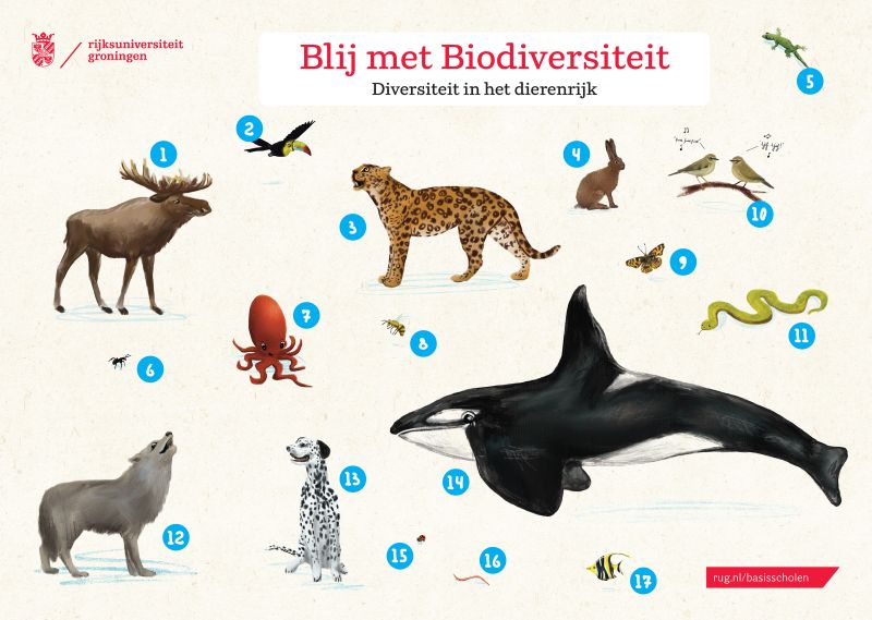 Poster Biodiversiteit