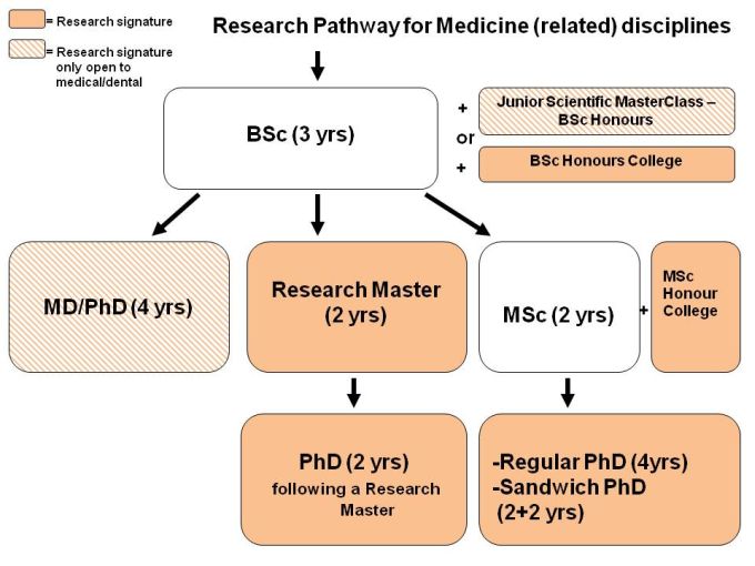 how does a research masters work